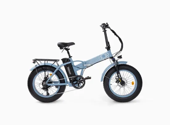 Picture of Renault 4 E-Tech Velobecane Bike