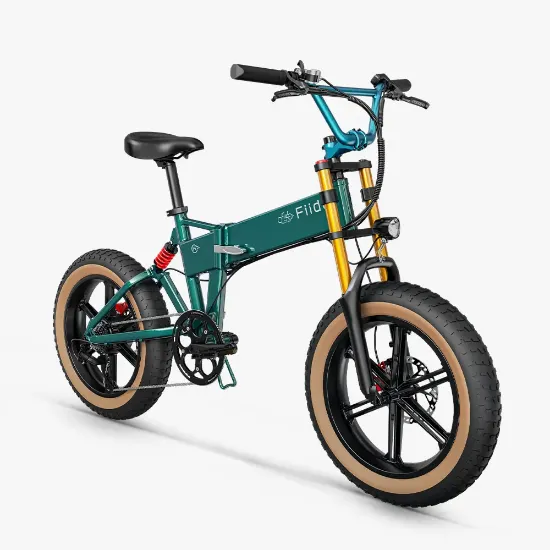 Picture of Fiido M1 Pro Fat Tire Electric Bike