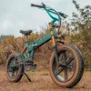Picture of Fiido M1 Pro Fat Tire Electric Bike