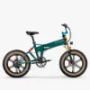 Picture of Fiido M1 Pro Fat Tire Electric Bike