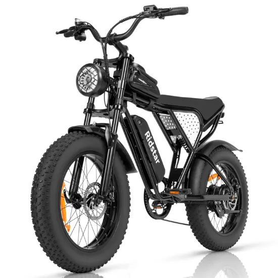 Picture of RIDSTAR Q20 Lite 20" Fat Tires Electric Bike 500W Motor 48V 30Ah Battery