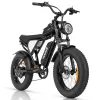 Picture of RIDSTAR Q20 Lite 20" Fat Tires Electric Bike 500W Motor 48V 30Ah Battery
